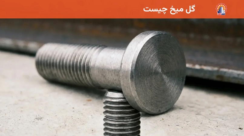 گل میخ چیست