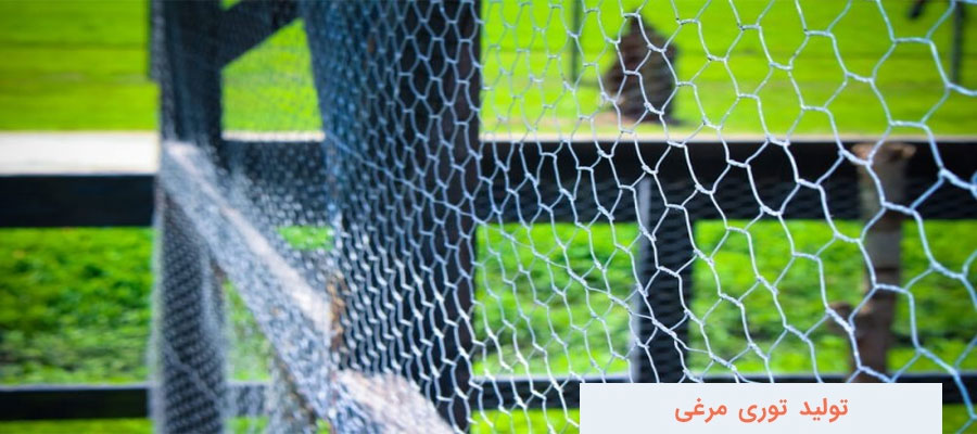 تولید توری مرغی